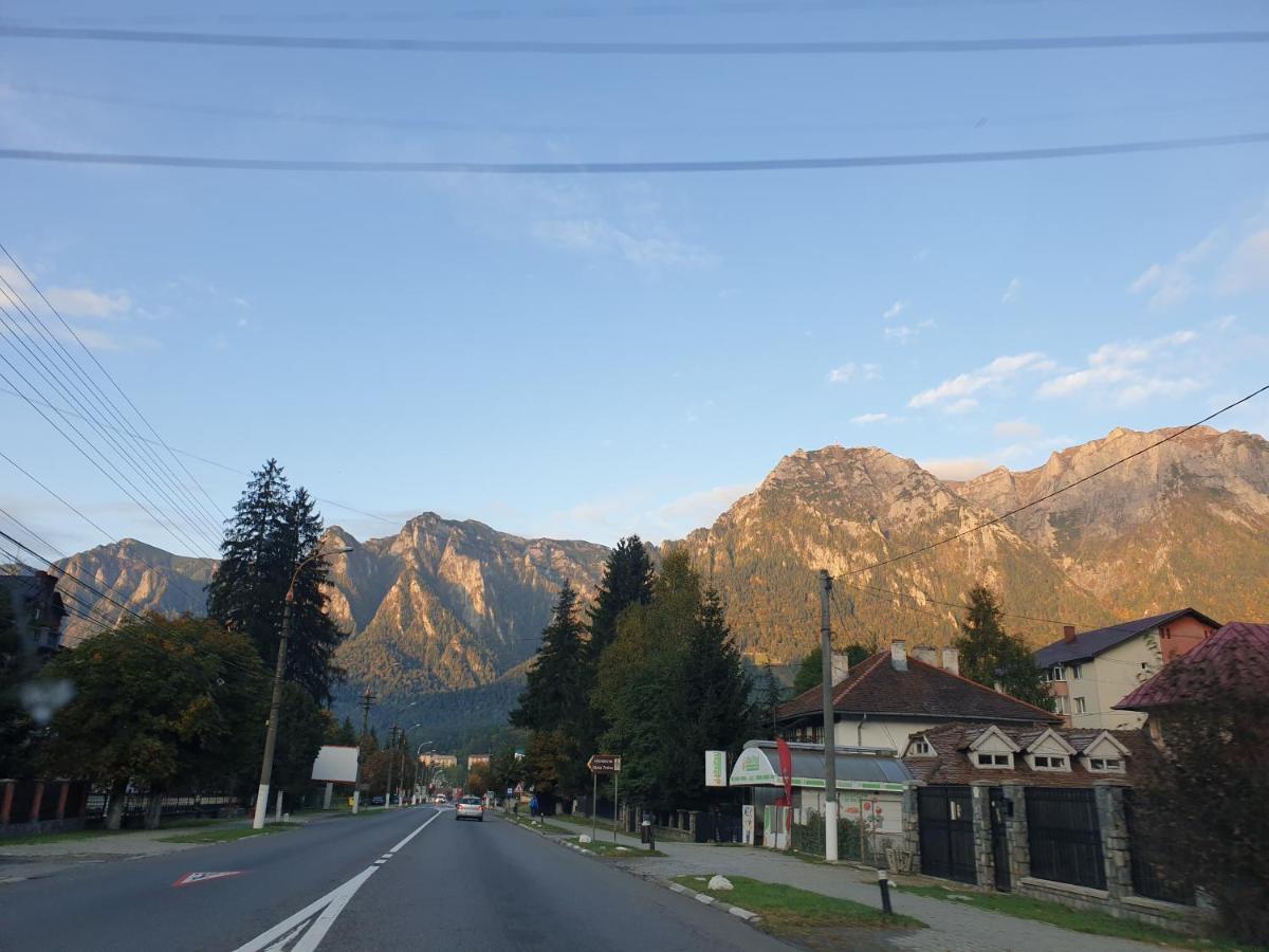 Mountain Break Azuga Ski Экстерьер фото